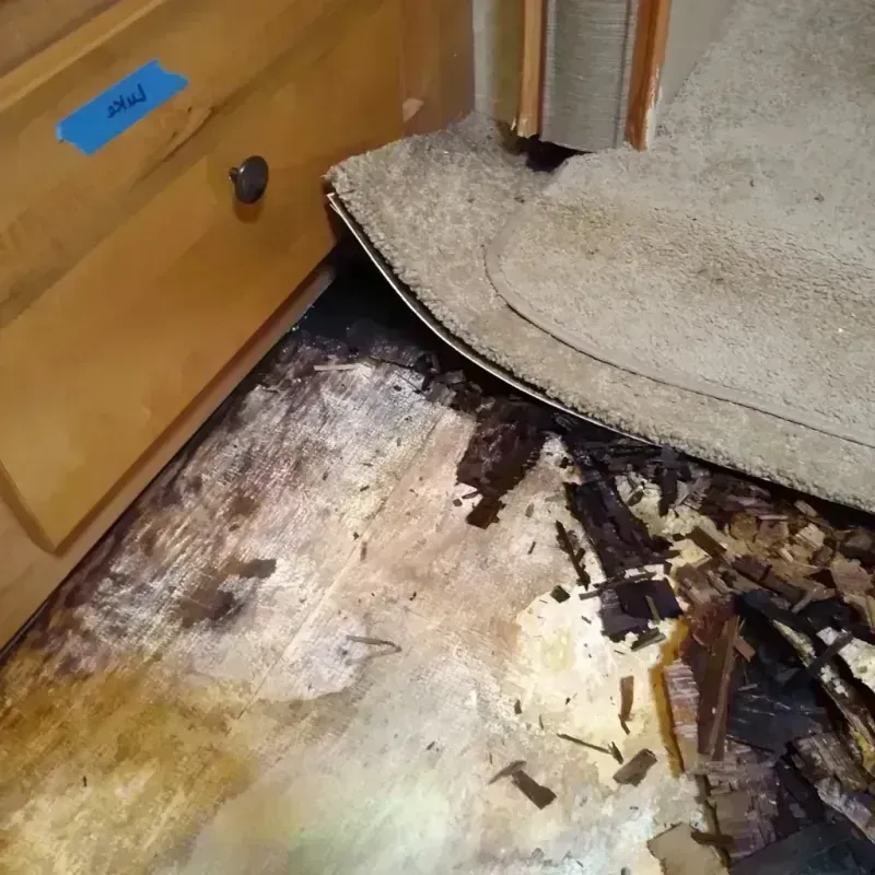 Wood Floor Water Damage in Mount Rainier, MD